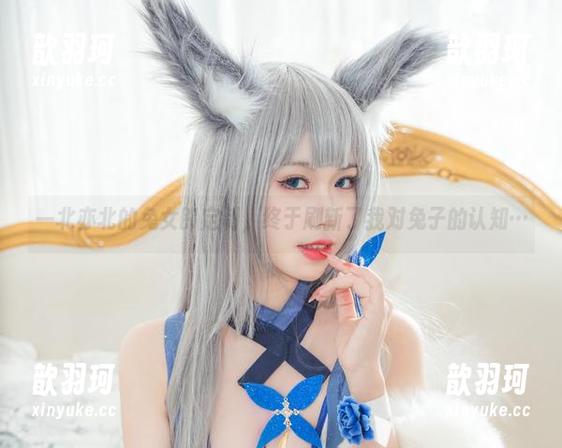 一北亦北的兔女郎定制，终于刷新了我对兔子的认知…