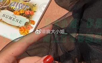 微密圈 – 太想问，宸大小姐，你是怎么买到这个姐姐的？附上百变套图资源！
