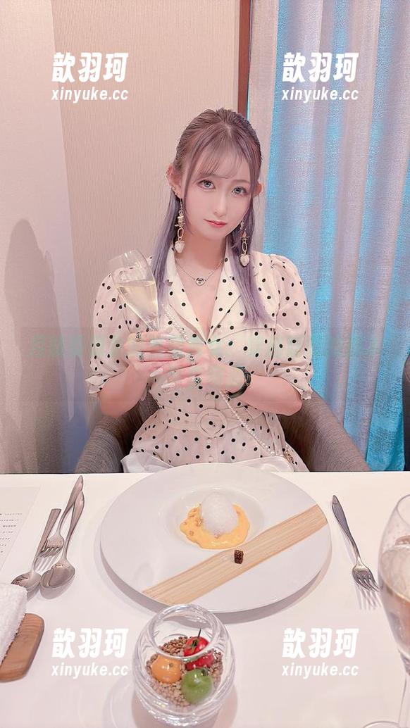月城委员会的黑暗修女：穿越阴影的那本写真图册