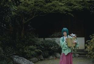 矢量鱼的温柔合集：谁说鱼只能在水里游？