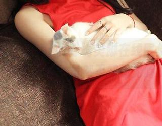 青豆客 – Cheryl青树美脚在线图集：我一直在看，虽然不知道为啥